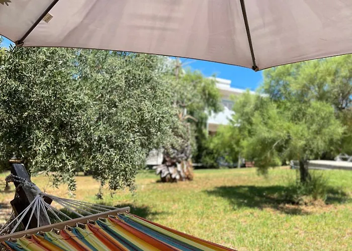 Portokali (adults Only)