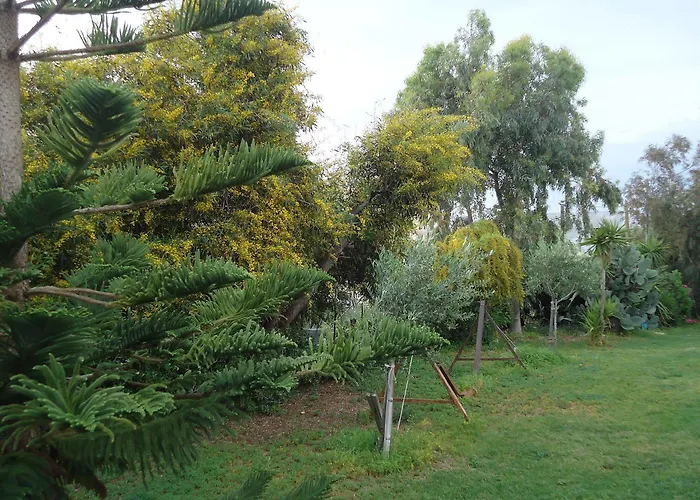 Portokali (adults Only) 4* Hersonissos (Crete)