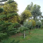 Portokali (adults Only) 4* הרסוניסוס
