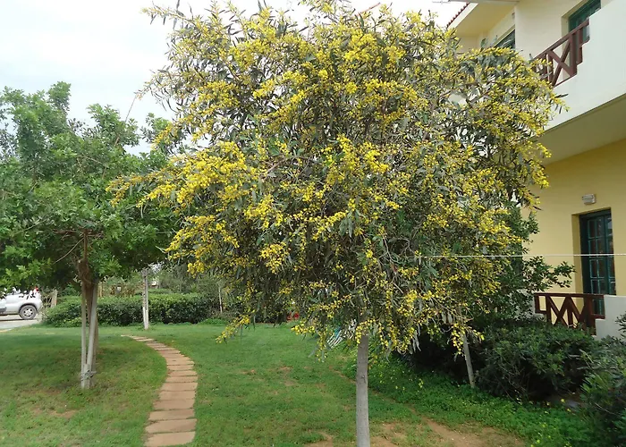 Portokali (adults Only) 公寓式酒店 赫索尼索斯